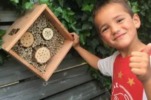 child at bee hotel