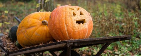 Snelcursus Halloween pompoen snijden voor klein en groot