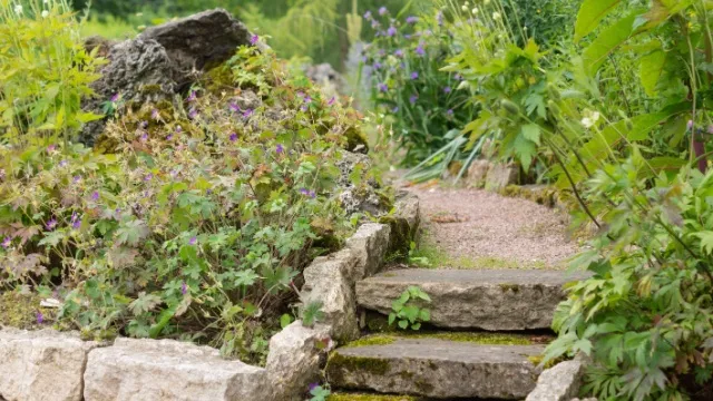 traptreden in tuin