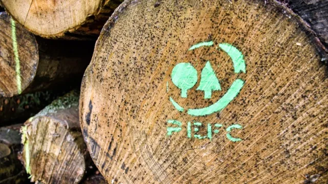 tree trunk with PEFC logo