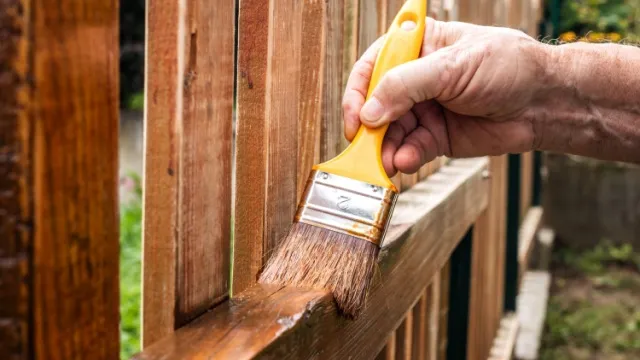 man staining garden fence