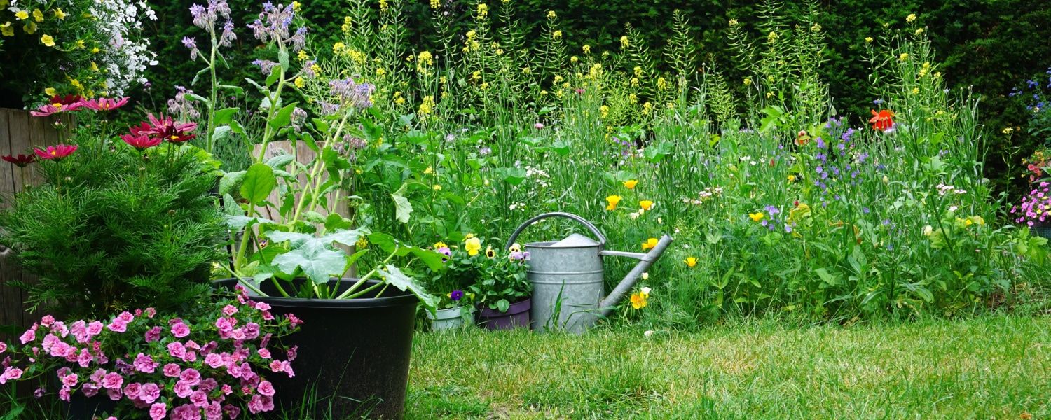 Garden jobs before you go on holiday