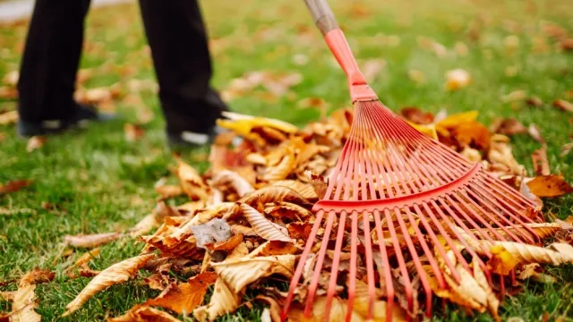 leaf rake