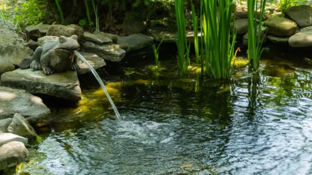 pond with fountain
