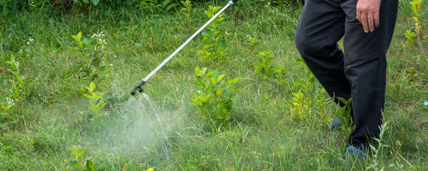 Onkruidverdelger sproeien in de tuin