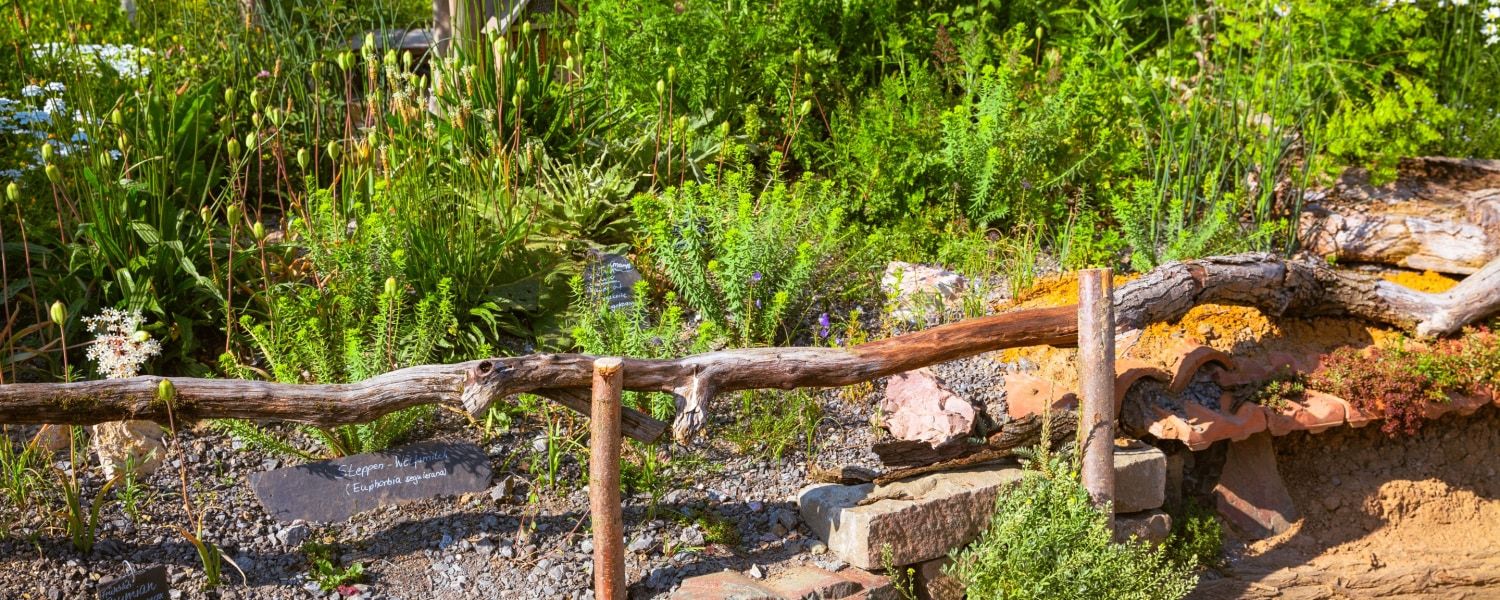 Eco-friendly gardening: 6 tips
