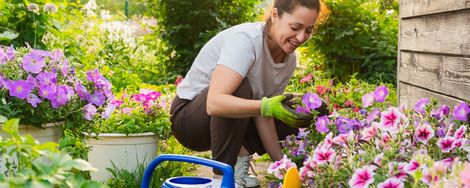 10 Midsummer Gardening Tips