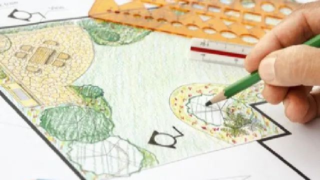 garden sketch