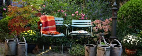 Give Your Garden a Late Summer Facelift