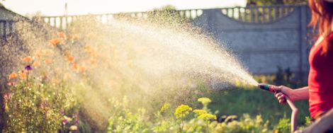 Choosing a garden hose: what should you consider?