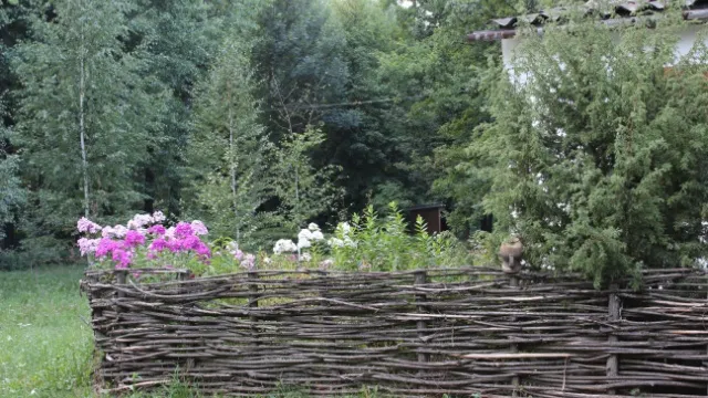 wicker branches garden fence