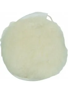 Polijstspons