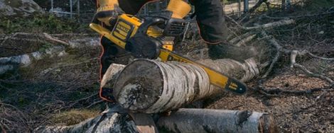 Dewalt XR Flexvolt: the strongest cordless garden tools in the world