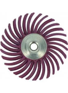 detailpolijstschijf