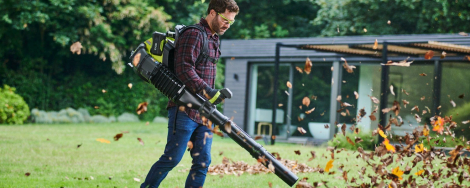 Bladblazers: welke past bij jouw tuin?