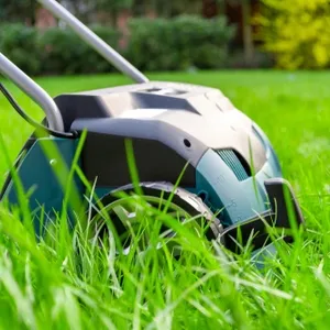 scarifying the lawn