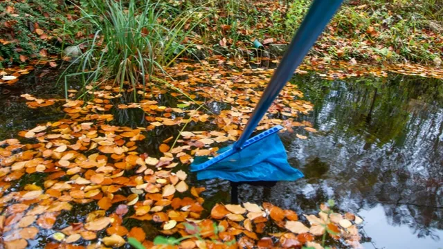 pond cleaning in autumn