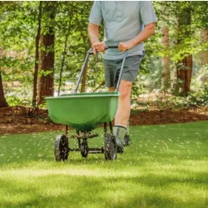 fertilizing lawn