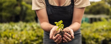 Tips voor het aanleggen van een zelfvoorzienende tuin