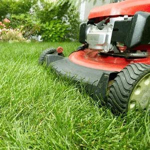 lawn mower close-up