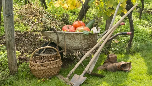 wheelbarrow with vegetables