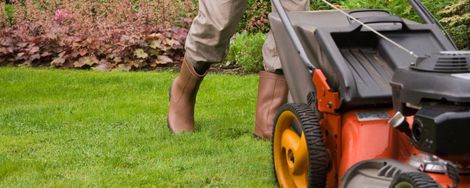 Tips voor het kopen van tuingereedschap