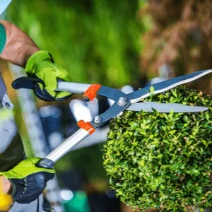 man mows grass