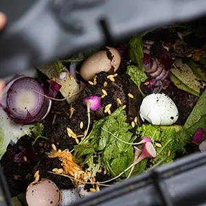 The garden starts to live again at the beginning of spring. The higher temperatures also ensure that the composting process starts, the conversion of organic waste into nutrient-rich garden soil. If you don&#x27;t have a compost bin yet, it&#x27;s now time to make one.