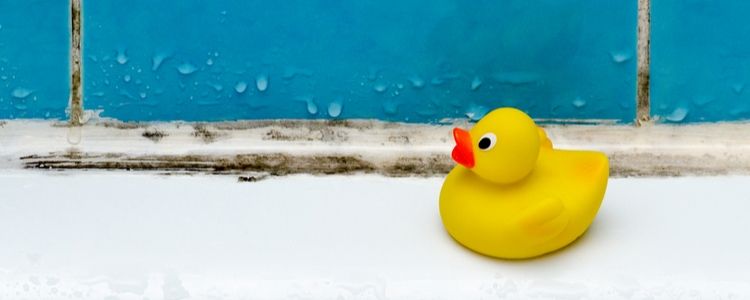 Hoe schimmel verwijderen in de badkamer