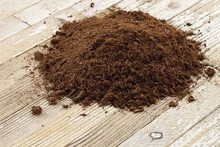 canadian-sphagnum-peat-moss-used-soil