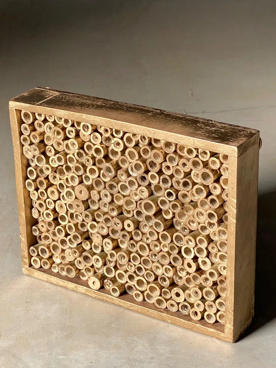 Fractal patterns